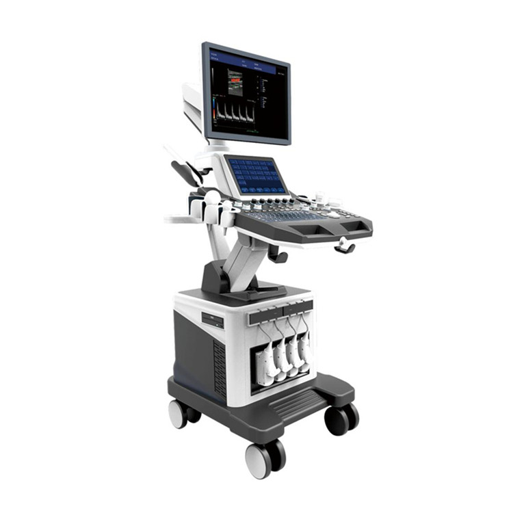 4D Color Doppler Ultrasound System Double Screens