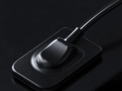 Best Digital Dental X Ray Sensor suppliers