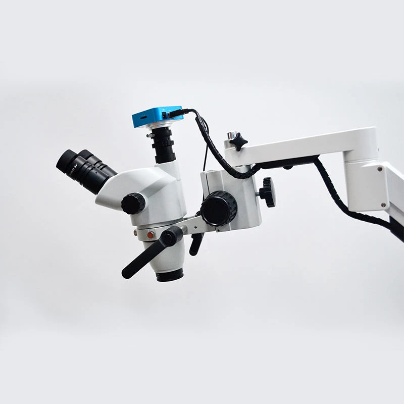 Dental Operating Microscope In Endodontics Dental Operating Microscope In Endodontics